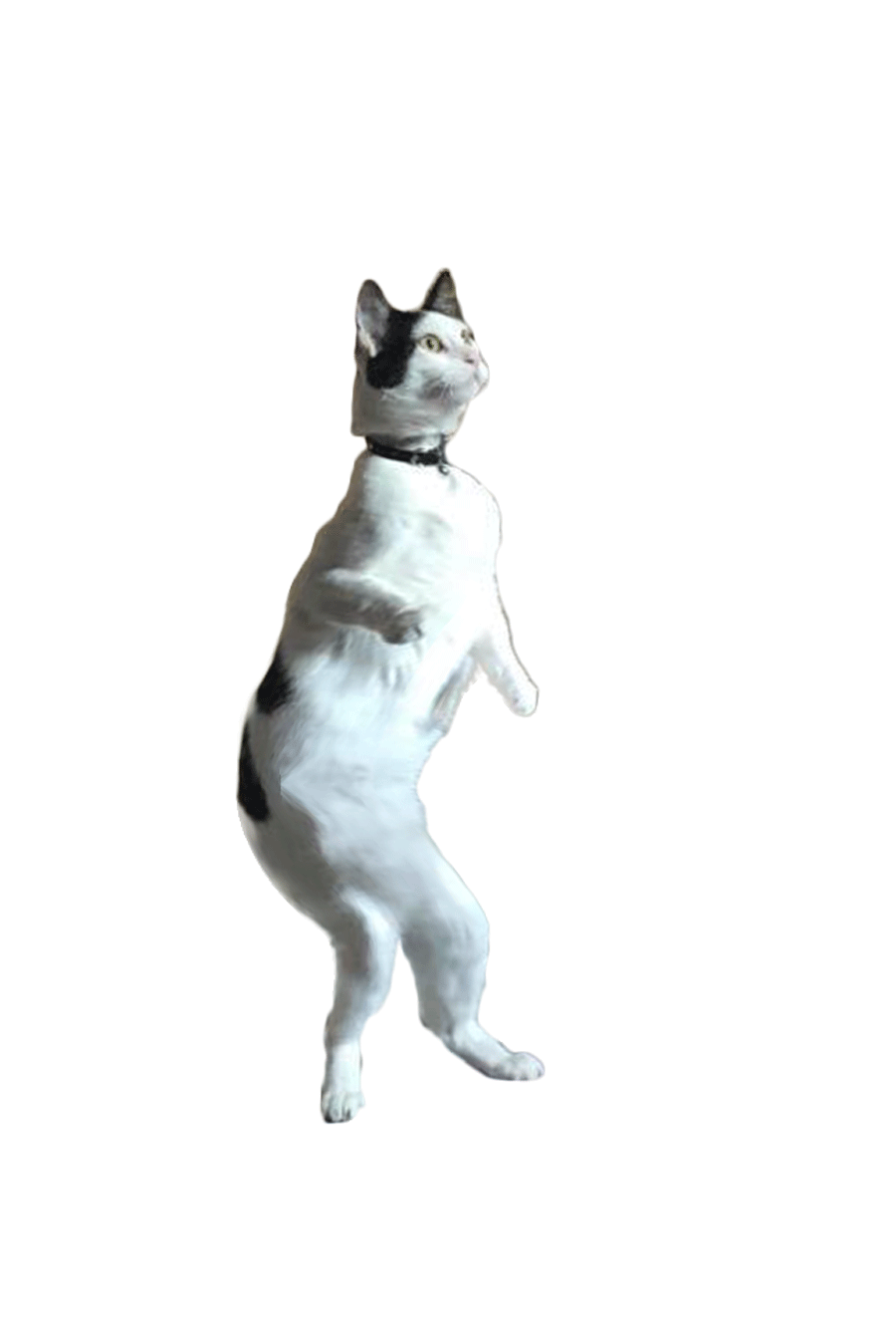 f2fda945-59c2-4b8b-8fc9-de6d1df53834.gif